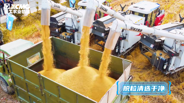 b518203394fe46a48335c2d466ba20aa