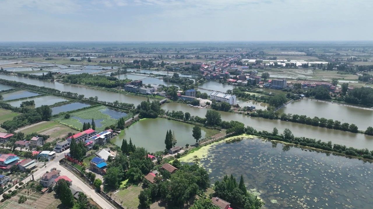 皇家国际·(中国区)有限公司官网