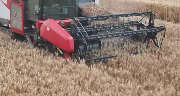 皇家国际·(中国区)有限公司官网