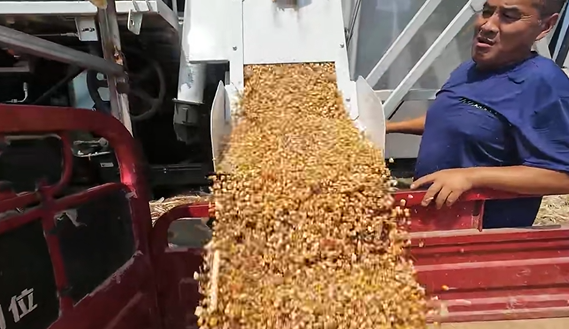 皇家国际·(中国区)有限公司官网