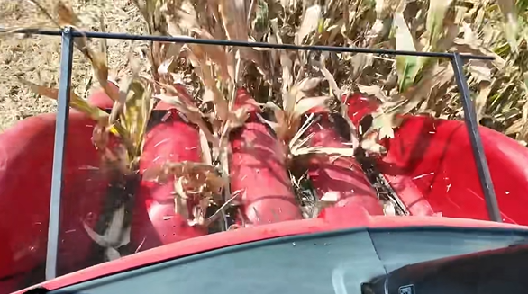 皇家国际·(中国区)有限公司官网