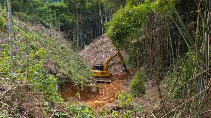 林间“藏龙”，竹海“卧虎”——皇家国际林业挖机广西侠客行
